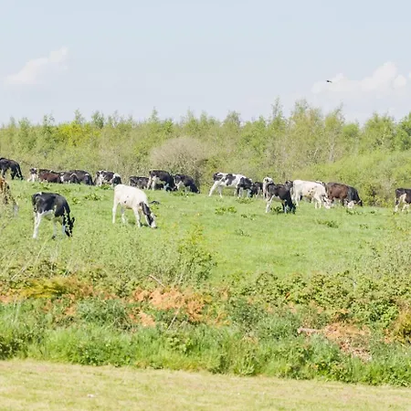 펜션 4 Bed In Kilmuckridge Oc-ii09888