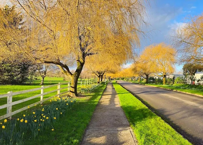 4 Bed In Kilmuckridge Oc-ii09888 キルマックリッジ