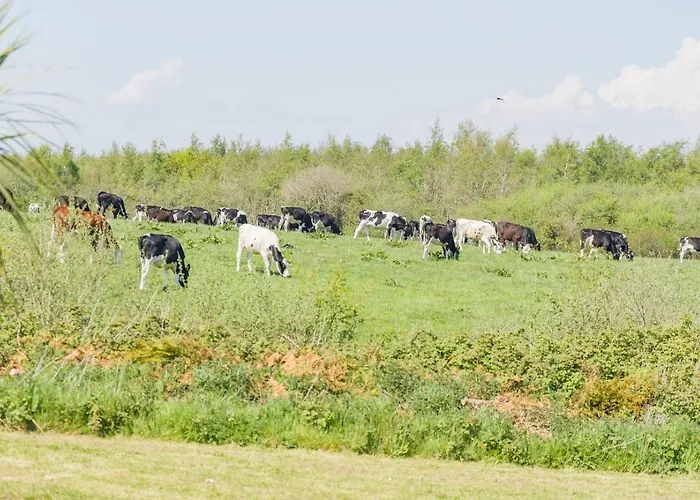 別荘 4 Bed In Kilmuckridge Oc-ii09888